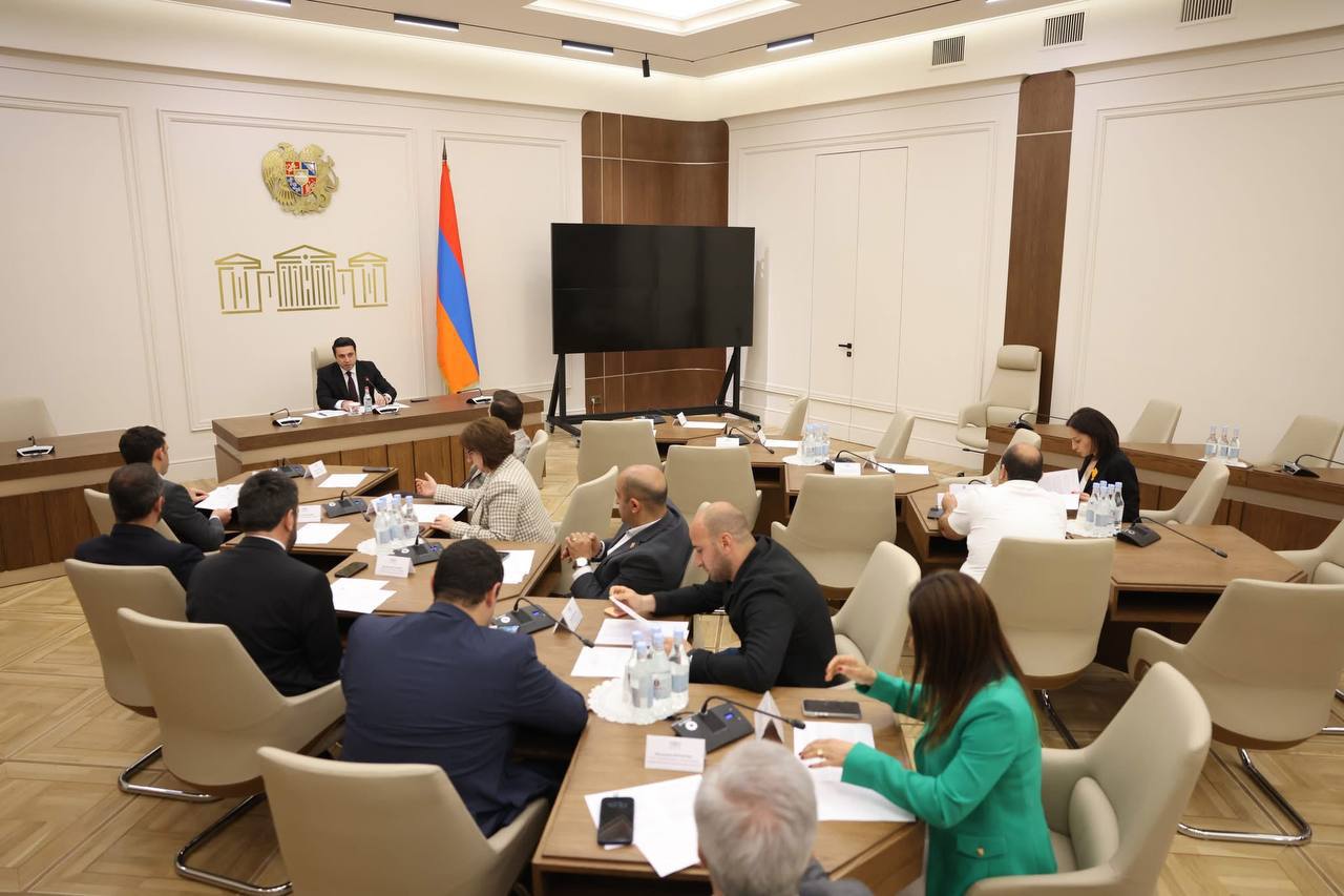 Ընտրական իրավունքի սահմանափակման նախագիծը քննարկվում է ԱԺ-ում